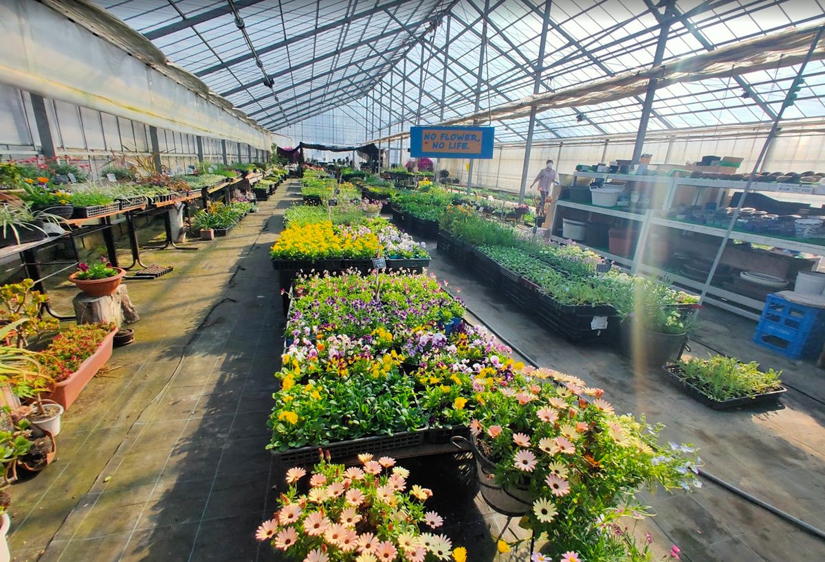 グリーンハートやまだ